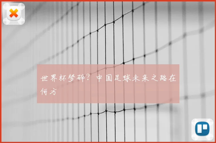 世界杯梦碎？中国足球未来之路在何方