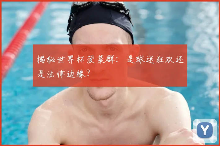 揭秘世界杯菠菜群：是球迷狂欢还是法律边缘？