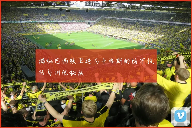揭秘巴西铁卫迭戈卡洛斯的防守技巧与训练秘诀