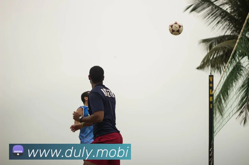 开云app登录入口app发展历程